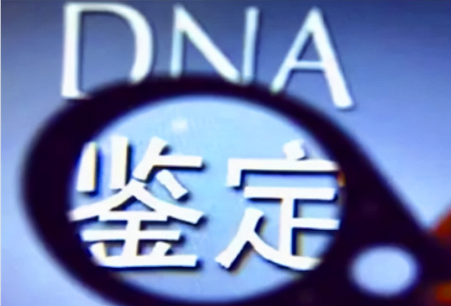 聊城怎么样偷偷做DNA亲子鉴定,聊城血缘检测流程