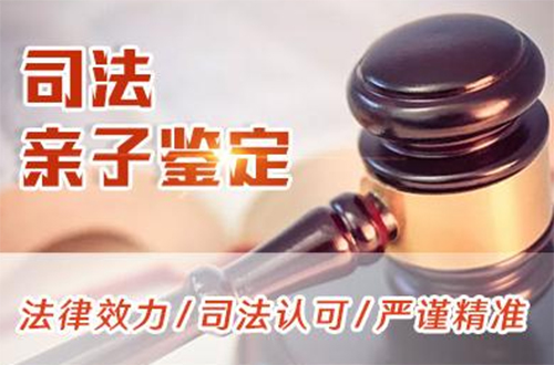 聊城司法DNA亲子鉴定需要如何做,聊城司法亲子鉴定咨询预约