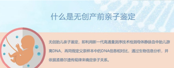 聊城怀孕14周怎么做DNA亲子鉴定,聊城怀孕亲子鉴定多少钱一次