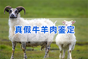 聊城羊类动物鉴定